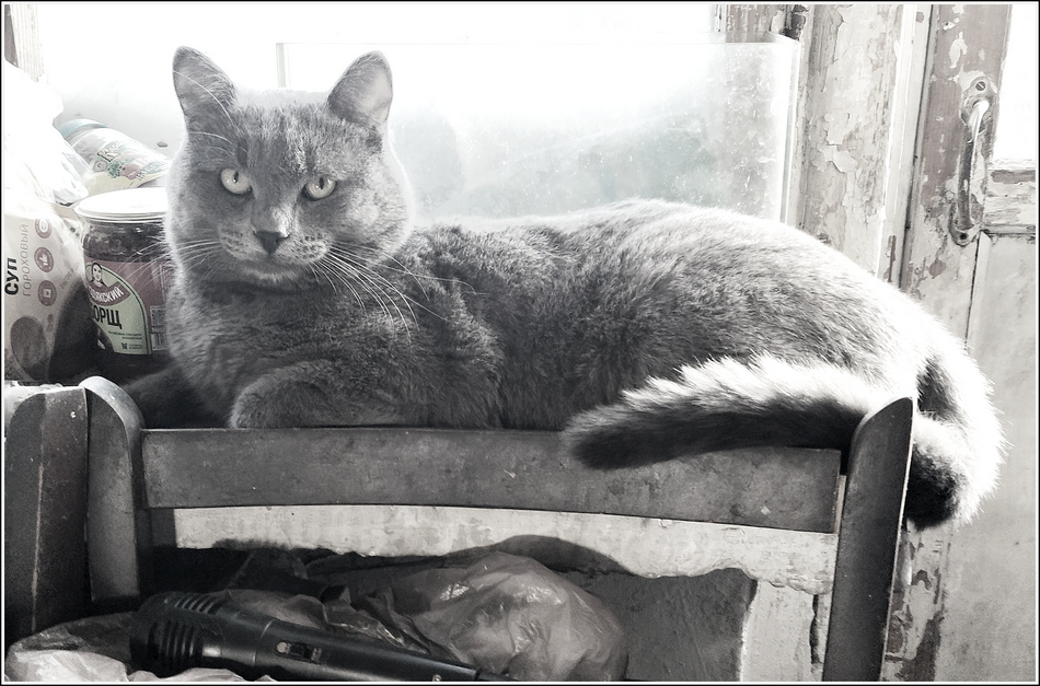 ���������� � ��� �� ������� ����: ������...