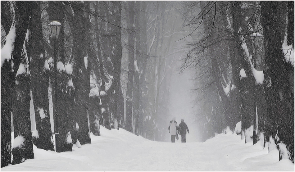 ���������� ***