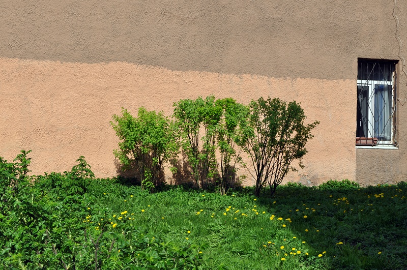 ���������� ���� �� ������������ �������