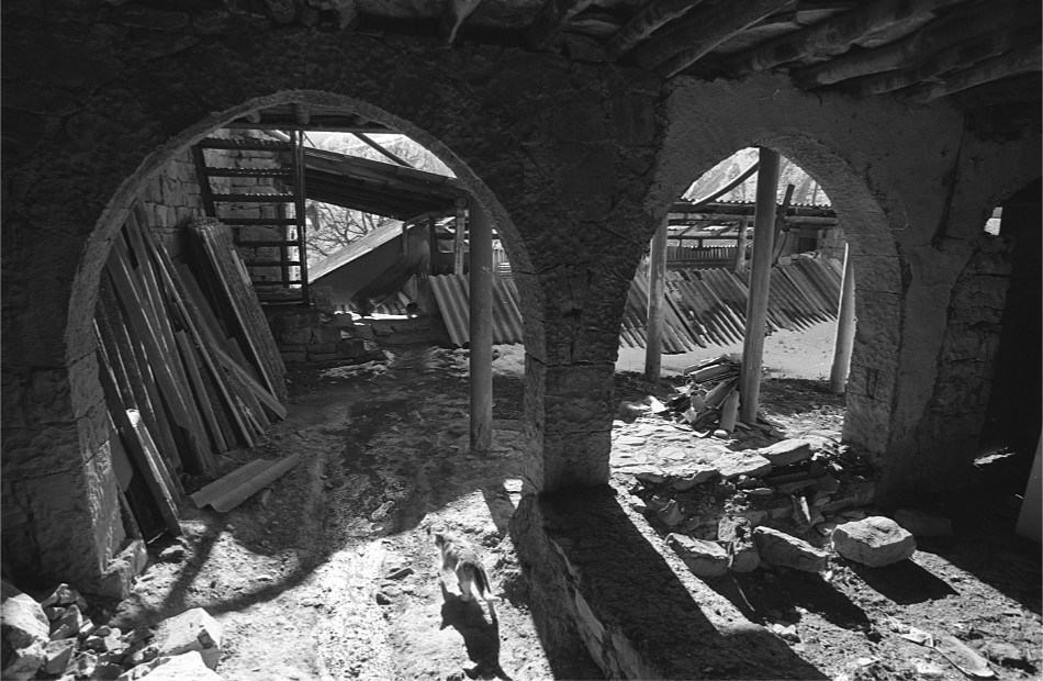 ���������� ***