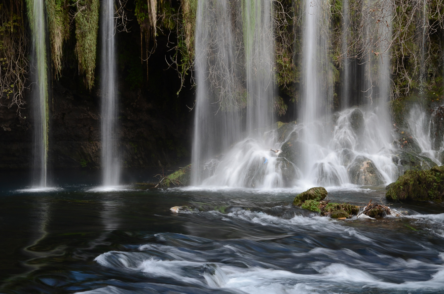 ���������� ***