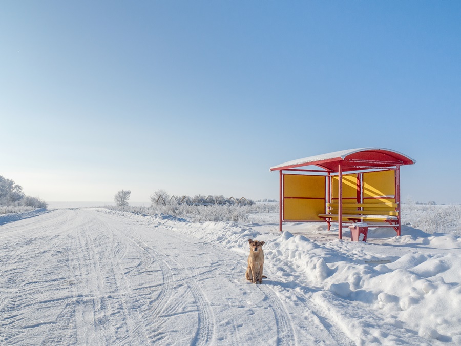 ���������� ***