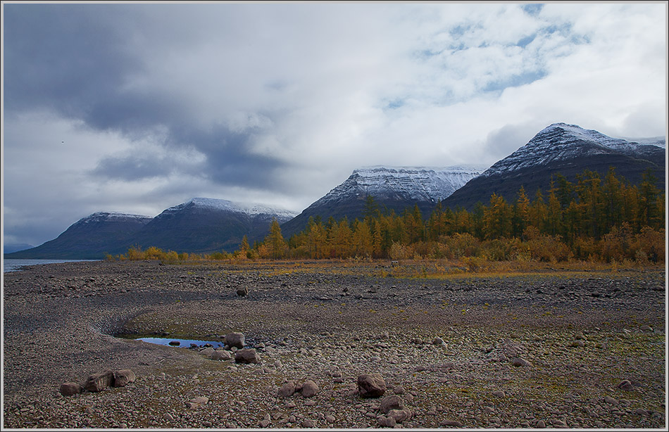 ���������� �����. ��������� �������.