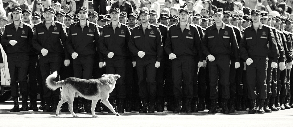 ���������� ��������� �����