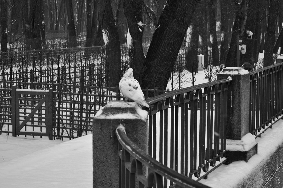 ���������� ����-ޣ���� ���-��*