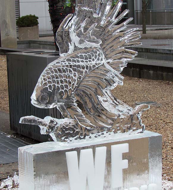 ���������� �����֣���� � ���������� )