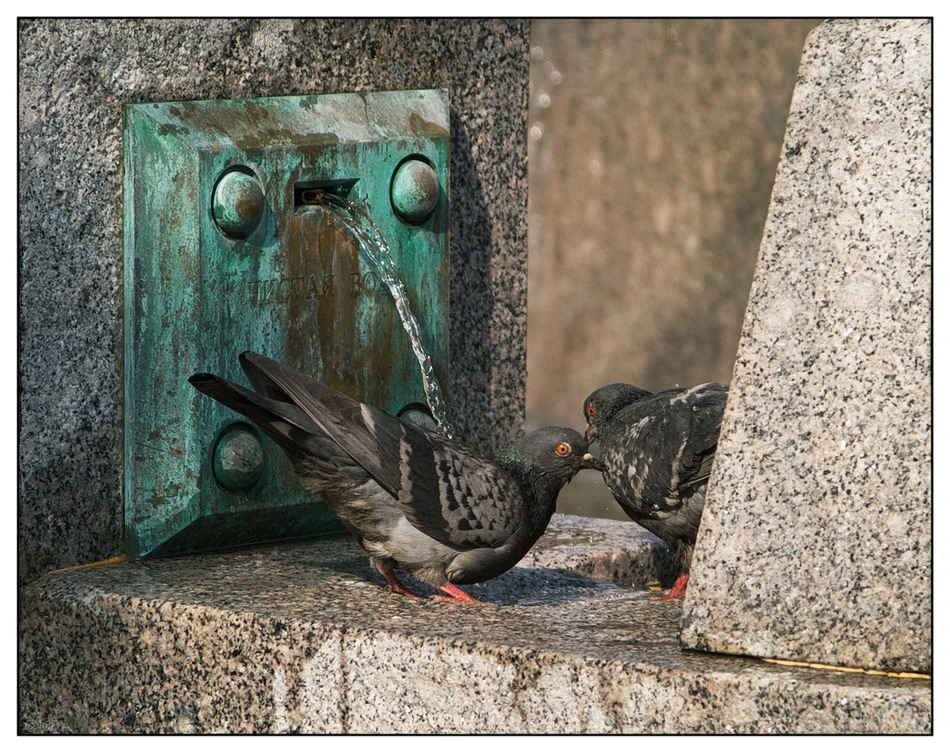 ���������� �������� � �������