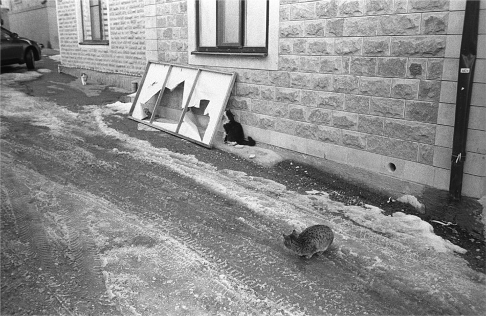 ���������� ***