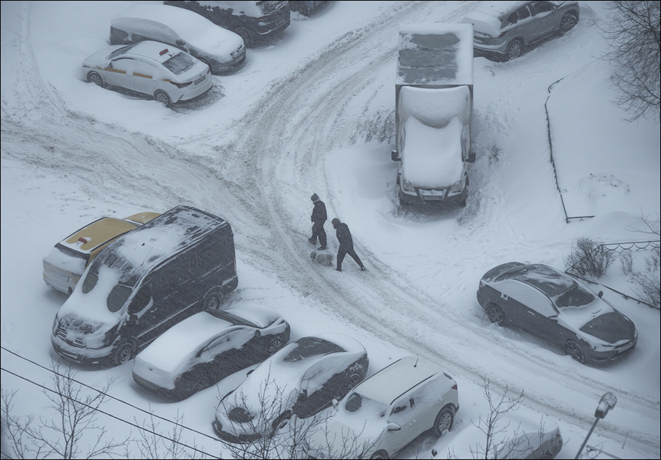 ���������� �����