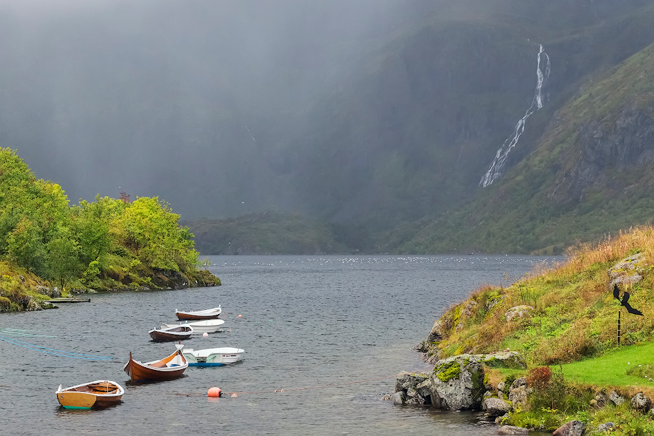 ���������� ***