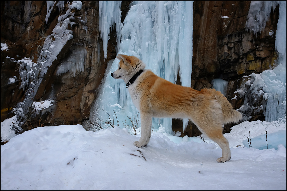 ���������� �����������