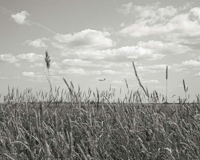 ���������� ����������