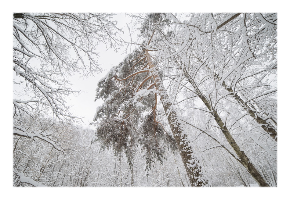 ���������� ������ ��������