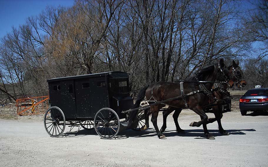 ���������� ���� ������