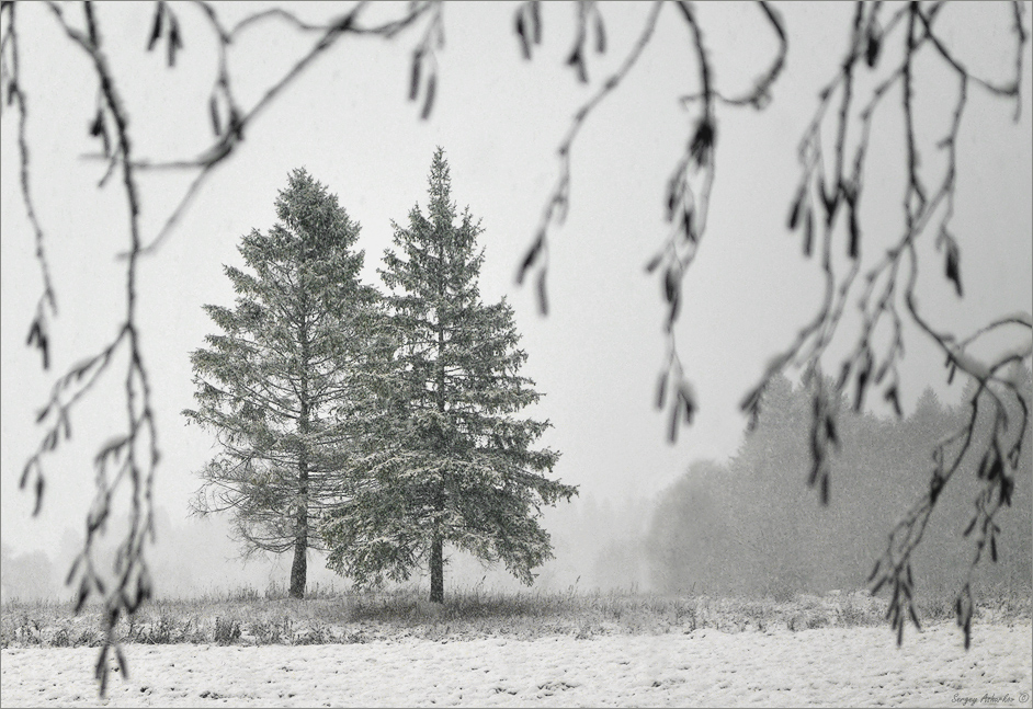 ���������� � ���� �����.