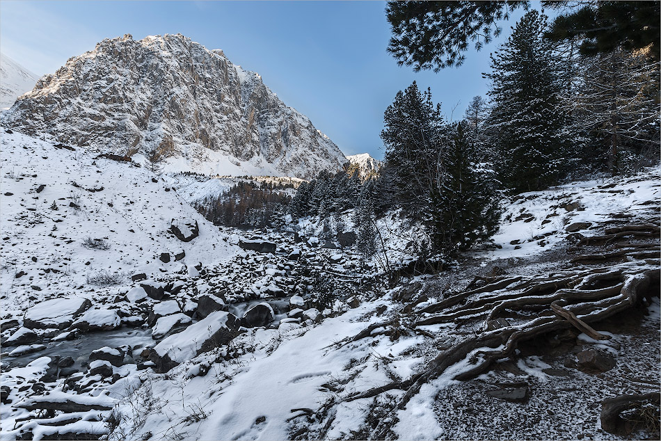 ���������� 3534�