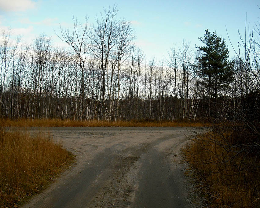 ���������� ****