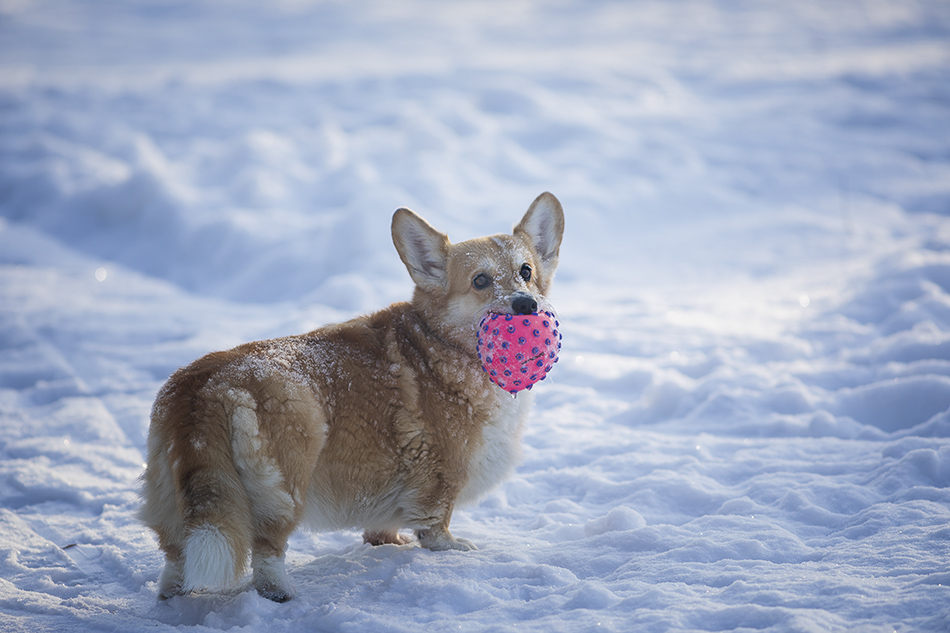 ���������� ������ � ����