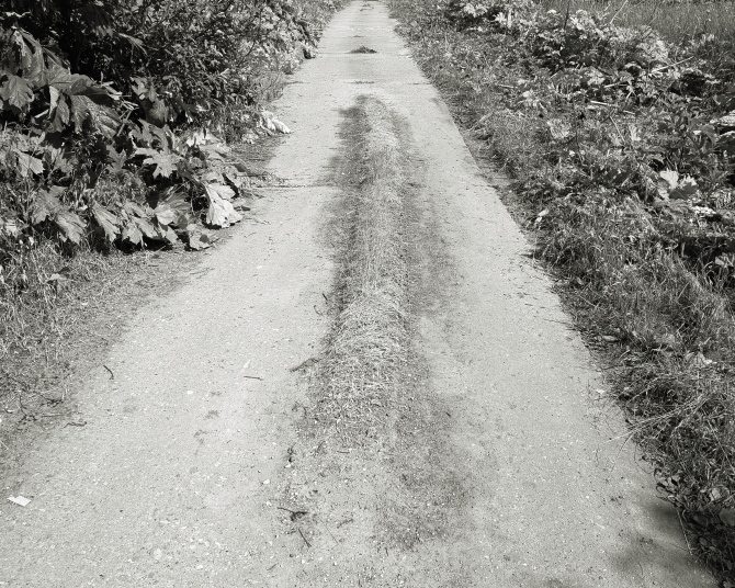 ���������� ����������