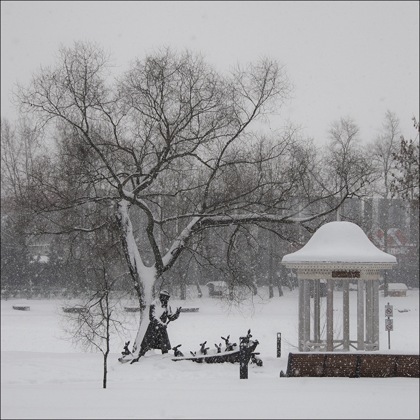 ���������� ���������