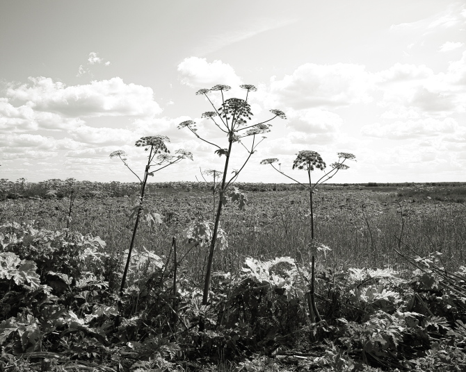 ���������� ����������