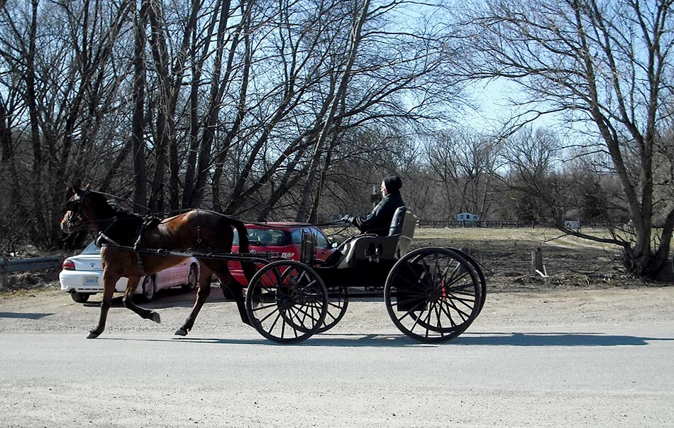 ���������� ****