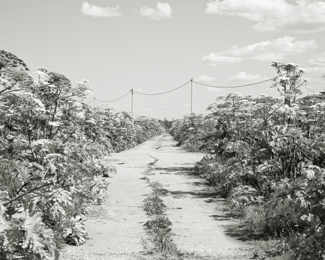 ���������� ����������