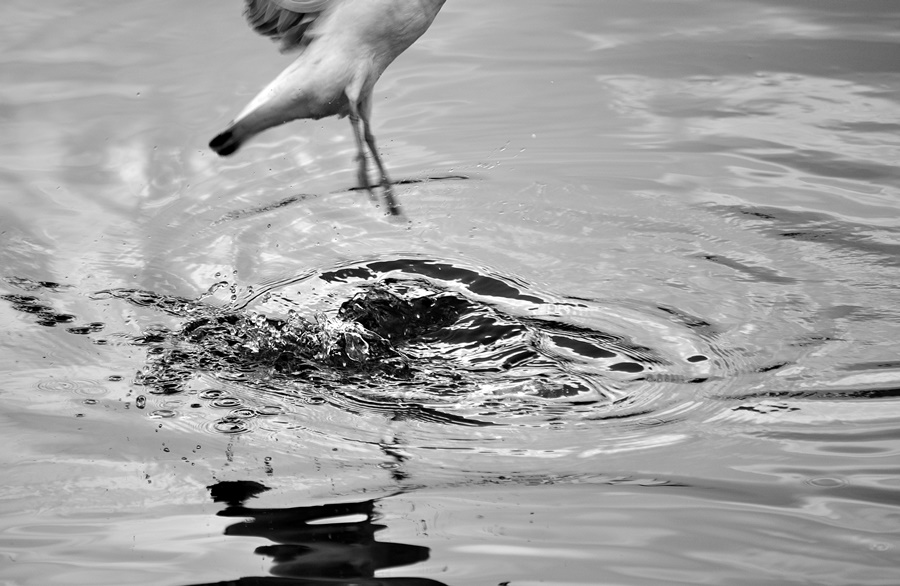 ���������� ***