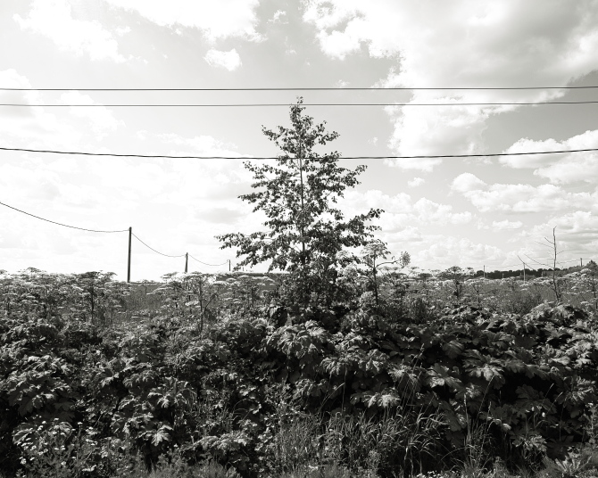 ���������� ����������