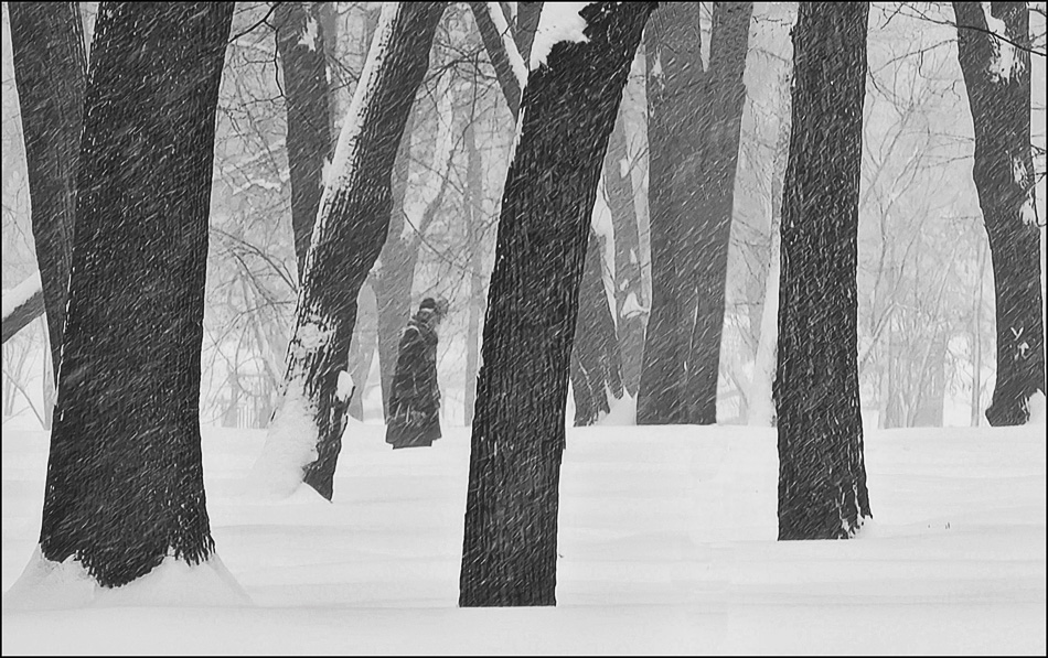 ���������� ������