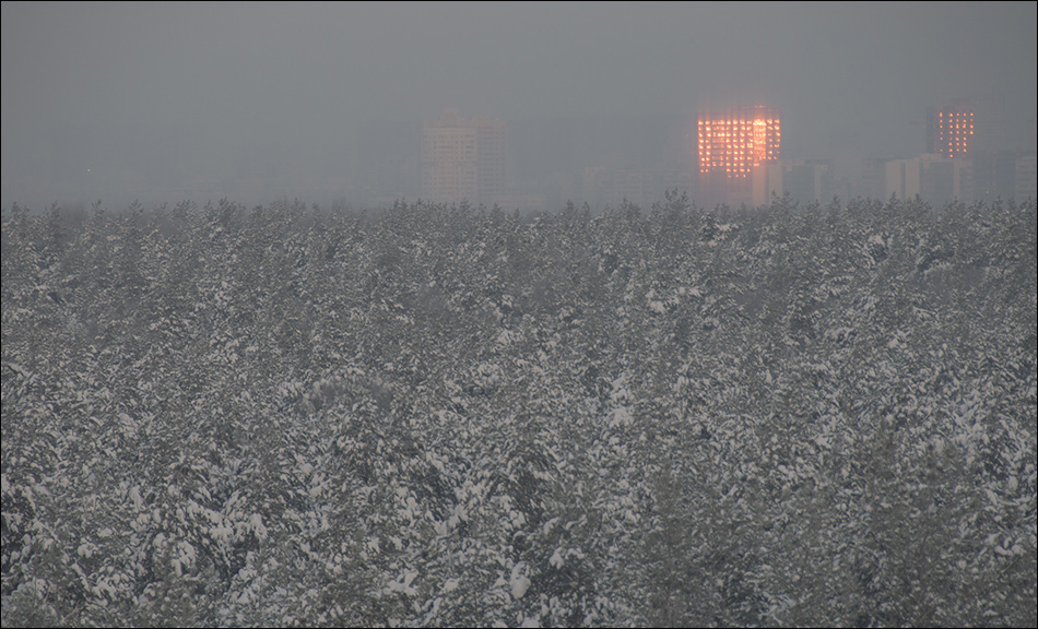 ���������� ����