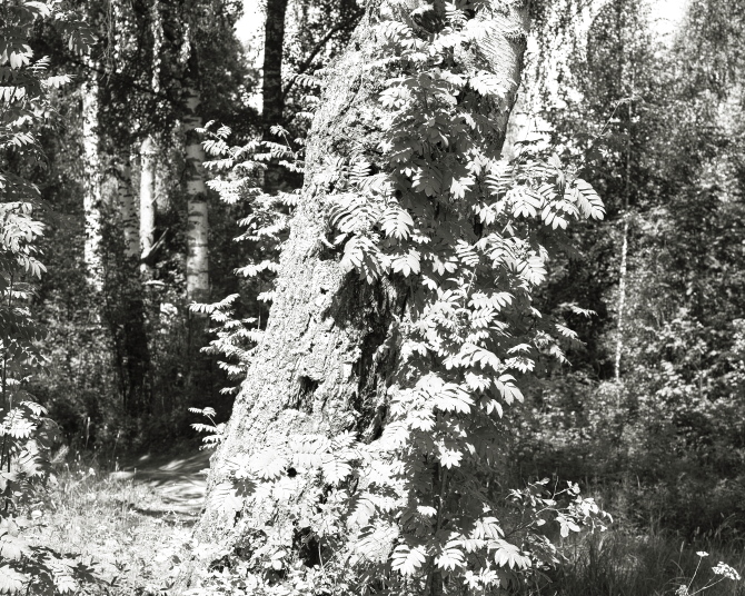 ���������� ����������