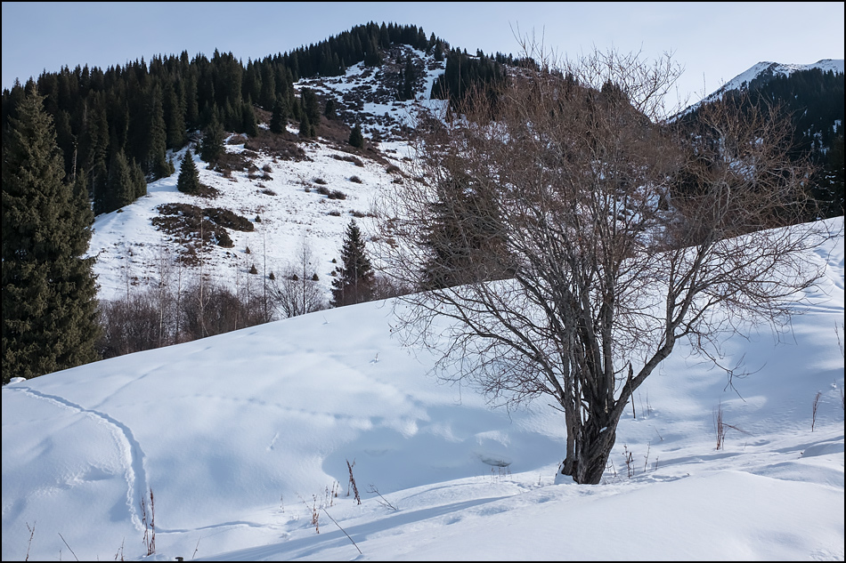 ���������� ���������� �������