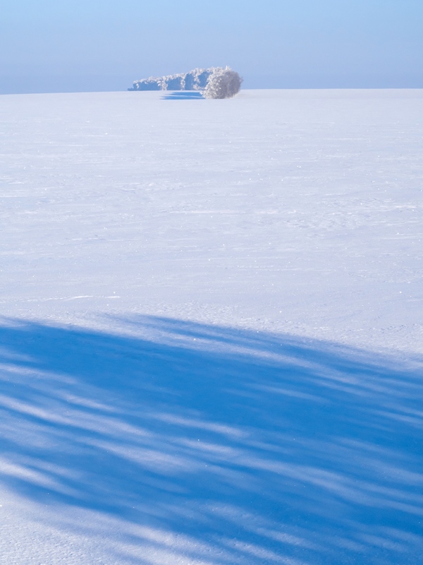 ����������  ***