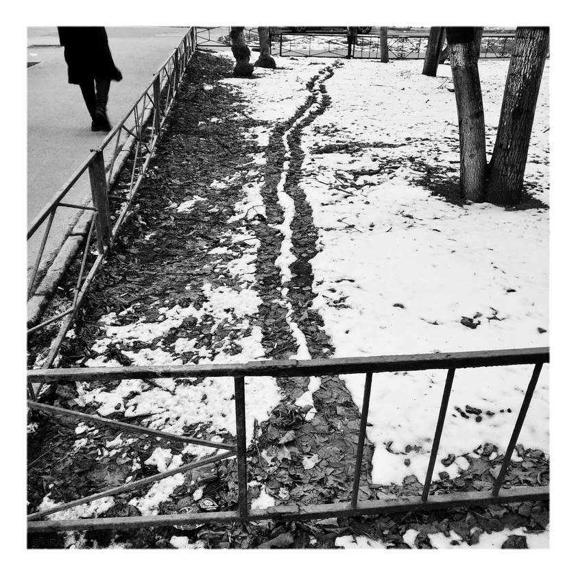 ���������� ***