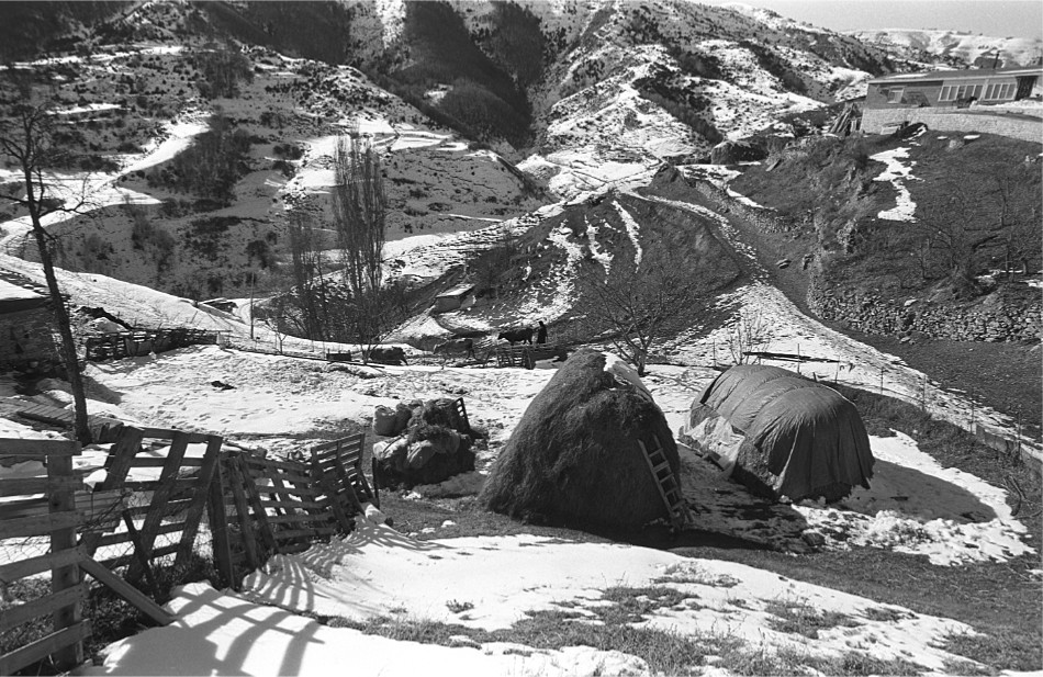 ���������� ***