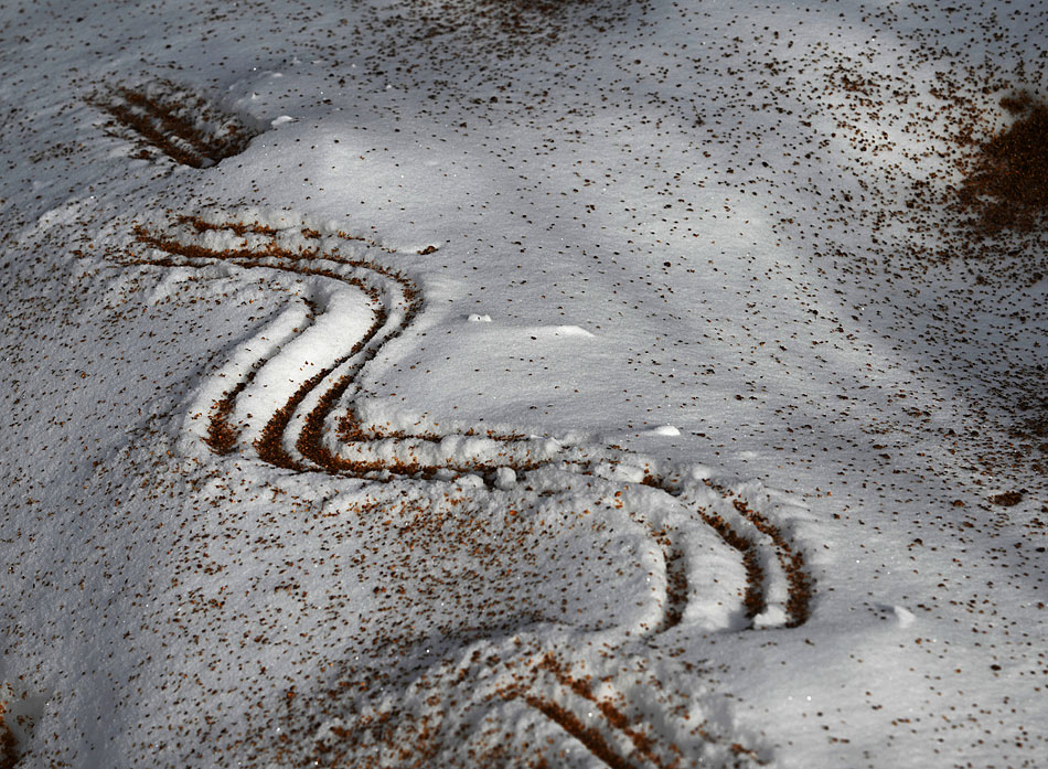 ���������� �����