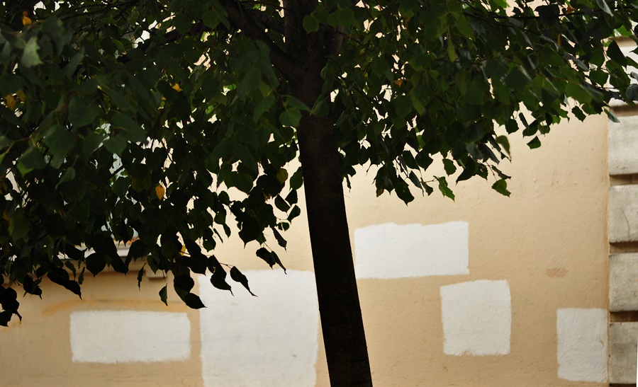 ���������� ***