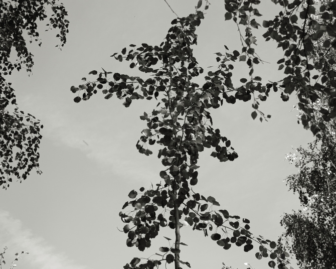 ���������� ����������