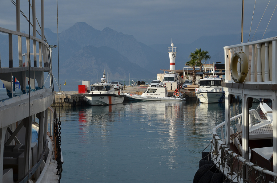 ���������� ***