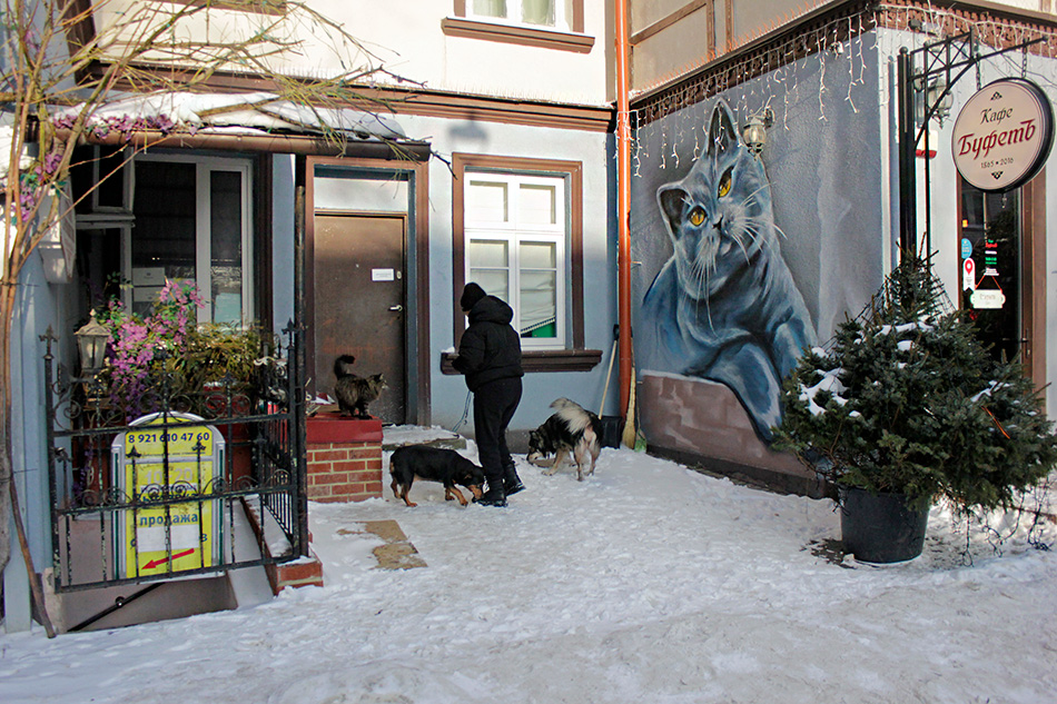 ���������� ������� ������ ���