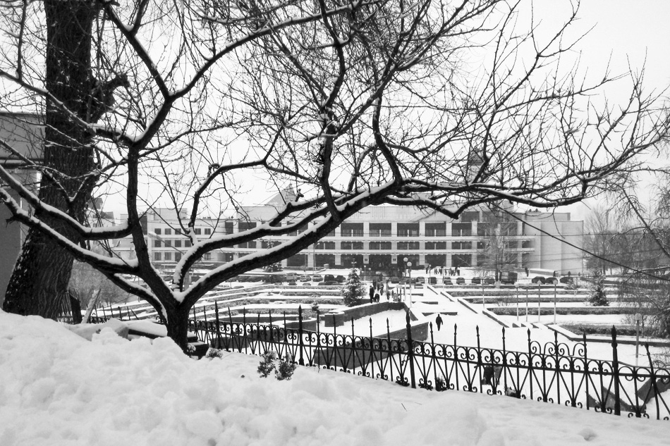 ���������� ***