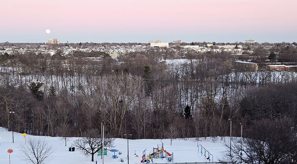 ���������� ����������