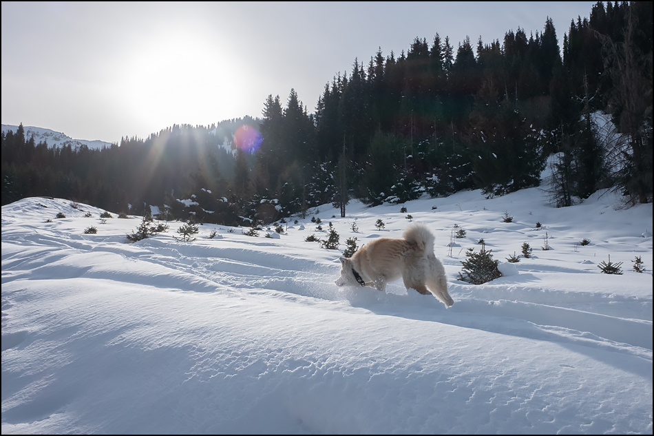 ���������� ��������