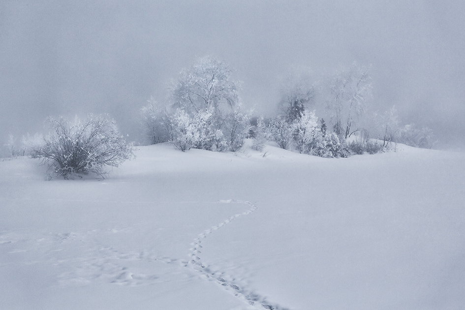 ���������� - 35