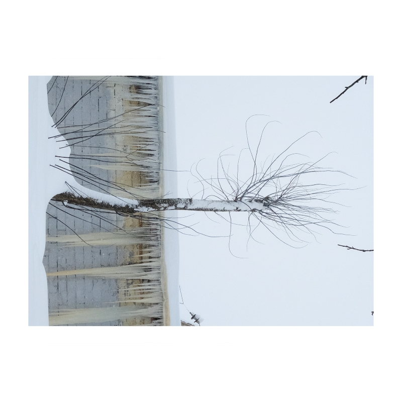 ���������� 1641