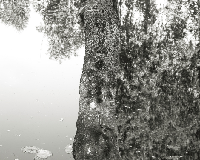 ���������� ����������