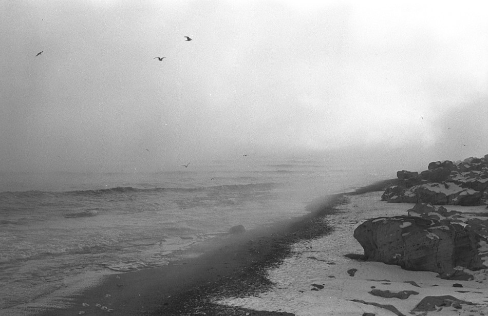 ���������� ***