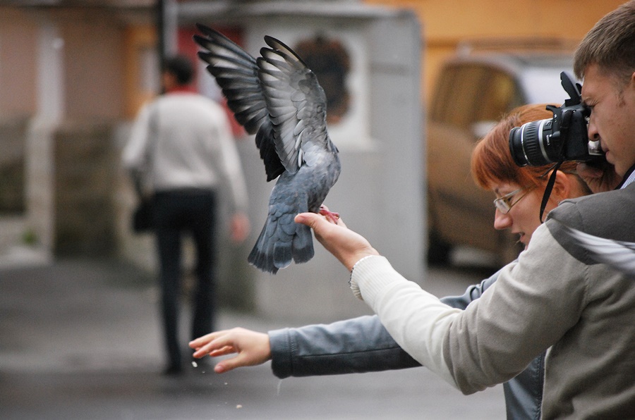 ���������� ***