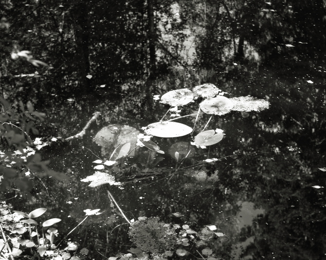 ���������� ����������